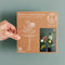 House of Thol Lepus / Flower Constellation L