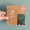 House of Thol Cygnus / Flower Constellation M