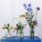 House of Thol Ophiuchus / Flower Constellation XL