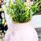 House of Thol Ophiuchus / Flower Constellation XL