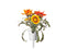 Click and Grow Gazania Plant Pods