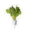 Click and Grow Green Chard Plant Pods