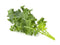 Click and Grow Green Kale Plant Pods