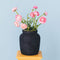 House of Thol Ophiuchus / Flower Constellation XL