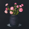 House of Thol Ophiuchus / Flower Constellation XL