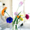 House of Thol Lepus / Flower Constellation L