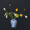 House of Thol Lepus / Flower Constellation L