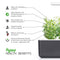 Click and Grow Hyssop Refill