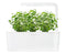 Click and Grow Hyssop Refill