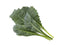 Click and Grow Italian Kale Plant Pods