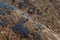 Palaunu short-pile rug