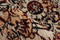 Palaunu short-pile rug