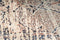 Pambo short-pile rug