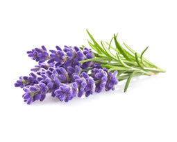 Click and Grow Lavender Plant Pods