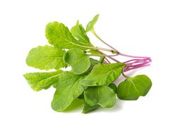 Click and Grow Leaf Radish Plant Pods