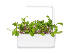 Click and Grow Leaf Radish Plant Pods
