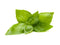 Click and Grow Lemon Basil Plant Pods