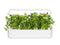 Click and Grow Lemon Basil Plant Pods