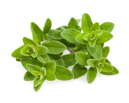 Click and Grow Marjoram Plant Pods