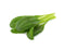 Click and Grow Mibuna Plant Pods