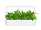 Click and Grow Mibuna Plant Pods