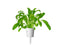 Click and Grow Mibuna Plant Pods