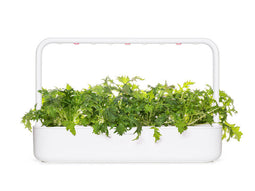 Click and Grow Mizuna Plant Pods