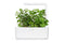 Click and Grow Peppermint Plant Pods