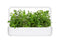 Click and Grow Peppermint Plant Pods