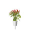 Click and Grow Piri Piri Chili Pepper Plant Pods