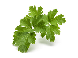 Click and Grow Plain Parsley Plant Pods