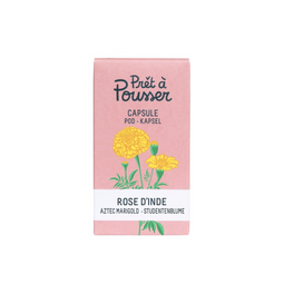 Prêt à Pousser - Aztec Marigold Pod