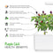 Click and Grow Purple Chili Pepper Plant Pods