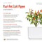 Click and Grow Red Hot Chili Pepper Plant Pods
