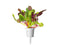 Click and Grow Rainbow Chard Plant Pods
