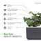 Click and Grow Red Kale Plant Pods