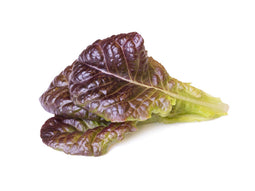 Click and Grow Red Lettuce Plant Pods