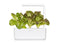 Click and Grow Red Romaine Lettuce Plant Pods