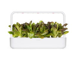 Click and Grow Red Romaine Lettuce Plant Pods