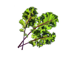 Click and Grow Red Kale Plant Pods