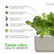 Click and Grow Romaine Lettuce Plant Pods