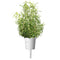 Click and Grow Rosemary 9-pack