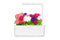 Click and Grow Petunia Plant Pods