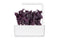 Click and Grow Red Basil Plant Pods