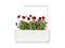 Click and Grow Red Pansy Plant Pods