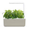 Click and Grow Stevia Refill