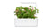 Click and Grow Wild Strawberry Plant Pods