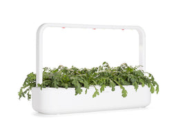 Click and Grow Shungiku Plant Pods