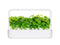 Click and Grow Cinnamon Basil Plant Pods