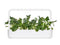 Click and Grow Italian Kale Plant Pods